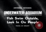 Image aquarium sous-marin Oak Bay Colombie-Britannique Canada, 1965, de la seconde 1 séquences d'archives historiques vidéo 65675033537