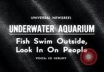 Image aquarium sous-marin Oak Bay Colombie-Britannique Canada, 1965, de la seconde 3 séquences d'archives historiques vidéo 65675033537
