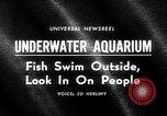 Image aquarium sous-marin Oak Bay Colombie-Britannique Canada, 1965, de la seconde 4 séquences d'archives historiques vidéo 65675033537