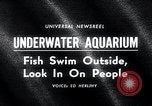 Image aquarium sous-marin Oak Bay Colombie-Britannique Canada, 1965, de la seconde 5 séquences d'archives historiques vidéo 65675033537