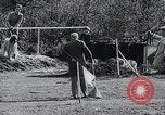Image of The Afghan Hound Hamburg Germany, 1965, second 11 stock footage video 65675033541