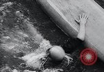 Image of Kayak racing Germany, 1965, second 41 stock footage video 65675033542
