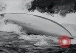 Image of Kayak racing Germany, 1965, second 42 stock footage video 65675033542
