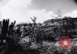 Image of United States Military West Indies, 1942, second 60 stock footage video 65675033543
