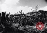 Image of United States Military West Indies, 1942, second 61 stock footage video 65675033543