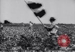 Immagine di Cotone concorso di prelievo United States USA, 1942, secondo 29 filmato di repertorio 65675033546