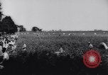 Immagine di Cotone concorso di prelievo United States USA, 1942, secondo 32 filmato di repertorio 65675033546