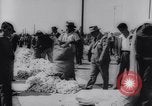 Immagine di Cotone concorso di prelievo United States USA, 1942, secondo 40 filmato di repertorio 65675033546