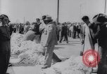 Immagine di Cotone concorso di prelievo United States USA, 1942, secondo 41 filmato di repertorio 65675033546