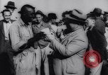 Immagine di Cotone concorso di prelievo United States USA, 1942, secondo 44 filmato di repertorio 65675033546