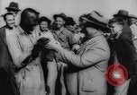 Immagine di Cotone concorso di prelievo United States USA, 1942, secondo 46 filmato di repertorio 65675033546