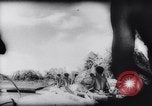 Image of American and Australian forces battle Japanese in New Guinea New Guinea, 1943, second 16 stock footage video 65675033548