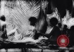Image of American and Australian forces battle Japanese in New Guinea New Guinea, 1943, second 36 stock footage video 65675033548