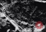 Image of American and Australian forces battle Japanese in New Guinea New Guinea, 1943, second 45 stock footage video 65675033548