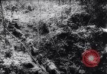 Image of American and Australian forces battle Japanese in New Guinea New Guinea, 1943, second 48 stock footage video 65675033548