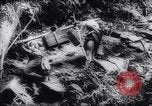Image of American and Australian forces battle Japanese in New Guinea New Guinea, 1943, second 54 stock footage video 65675033548