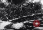 Image of American and Australian forces battle Japanese in New Guinea New Guinea, 1943, second 55 stock footage video 65675033548