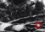 Image of American and Australian forces battle Japanese in New Guinea New Guinea, 1943, second 56 stock footage video 65675033548