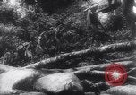Image of American and Australian forces battle Japanese in New Guinea New Guinea, 1943, second 57 stock footage video 65675033548