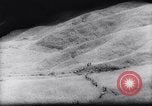 Image of American and Australian forces battle Japanese in New Guinea New Guinea, 1943, second 61 stock footage video 65675033548