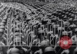 Standbild United States Navy United States USA, 1943, aus Sekunde 15 historischem Filmmaterial Videoclip 65675033552