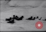 Standbild Surfing Contest Australien, 1943, aus Sekunde 13 historischem Filmmaterial Videoclip 65675033553