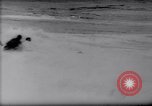 Standbild Surfing Contest Australien, 1943, aus Sekunde 16 historischem Filmmaterial Videoclip 65675033553
