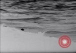 Standbild Surfing Contest Australien, 1943, aus Sekunde 20 historischem Filmmaterial Videoclip 65675033553