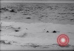 Standbild Surfing Contest Australien, 1943, aus Sekunde 38 historischem Filmmaterial Videoclip 65675033553