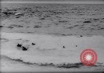 Standbild Surfing Contest Australien, 1943, aus Sekunde 39 historischem Filmmaterial Videoclip 65675033553