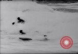 Standbild Surfing Contest Australien, 1943, aus Sekunde 46 historischem Filmmaterial Videoclip 65675033553