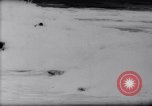 Standbild Surfing Contest Australien, 1943, aus Sekunde 47 historischem Filmmaterial Videoclip 65675033553