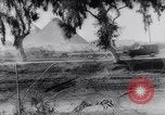 Image of United Nations leaders Tehran Iran, 1943, second 14 stock footage video 65675033559