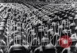 Image of President Franklin D Roosevelt Tehran Iran, 1943, second 14 stock footage video 65675033560