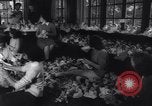 Image of college girls United States USA, 1943, second 10 stock footage video 65675033563