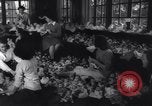 Image of college girls United States USA, 1943, second 12 stock footage video 65675033563