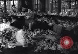 Image of college girls United States USA, 1943, second 13 stock footage video 65675033563