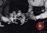 Image of college girls United States USA, 1943, second 14 stock footage video 65675033563