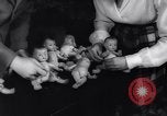 Image of college girls United States USA, 1943, second 16 stock footage video 65675033563