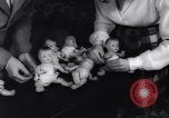 Image of college girls United States USA, 1943, second 18 stock footage video 65675033563