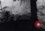 Image of Battle of Tarawa Gilbert Islands, 1943, second 52 stock footage video 65675033565