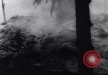 Image of Battle of Tarawa Gilbert Islands, 1943, second 53 stock footage video 65675033565