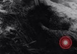 Image of Battle of Tarawa Gilbert Islands, 1943, second 56 stock footage video 65675033565