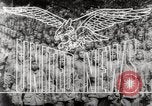 Image of American Fifth Army in Italian Campaign Italy, 1944, second 13 stock footage video 65675033566
