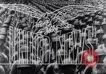 Standbild United States Army Air Force Krankenschwestern China, 1944, aus Sekunde 14 historischem Filmmaterial Videoclip 65675033569