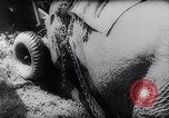 Standbild indischen Elefanten Birma, 1944, aus Sekunde 10 historischem Filmmaterial Videoclip 65675033570