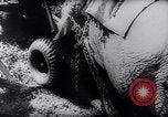 Standbild indischen Elefanten Birma, 1944, aus Sekunde 11 historischem Filmmaterial Videoclip 65675033570