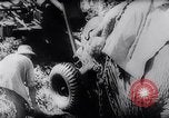 Standbild indischen Elefanten Birma, 1944, aus Sekunde 12 historischem Filmmaterial Videoclip 65675033570