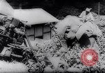Standbild indischen Elefanten Birma, 1944, aus Sekunde 27 historischem Filmmaterial Videoclip 65675033570