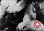 Standbild indischen Elefanten Birma, 1944, aus Sekunde 33 historischem Filmmaterial Videoclip 65675033570